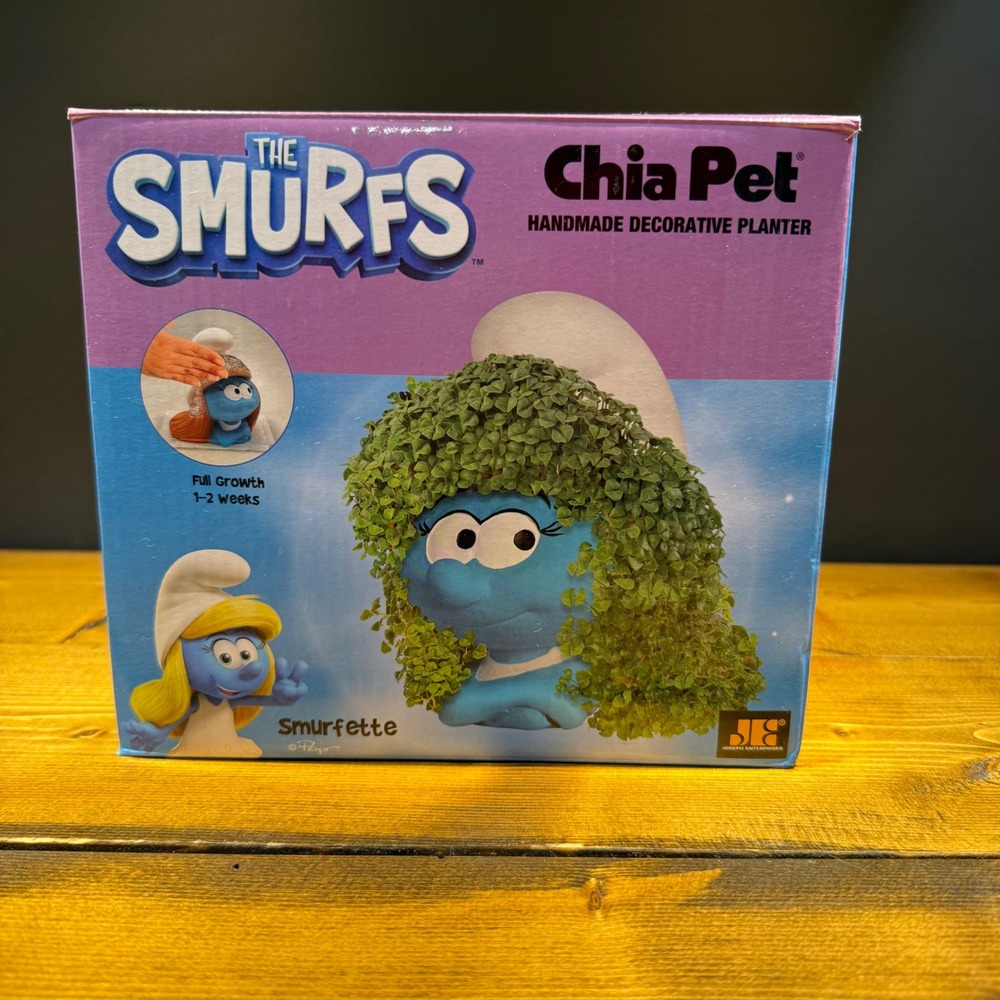 The Smurfs Smurfette Chia Pet Handmade Decorative Planter New in Damaged Box